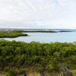 Coastal landscape on Santa Cruz Island in the Galápagos, Ecuador