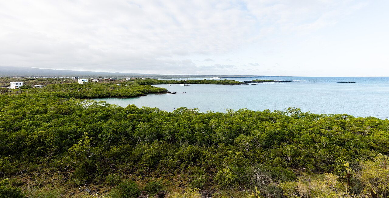 Coastal landscape on Santa Cruz Island in the Galápagos, Ecuador