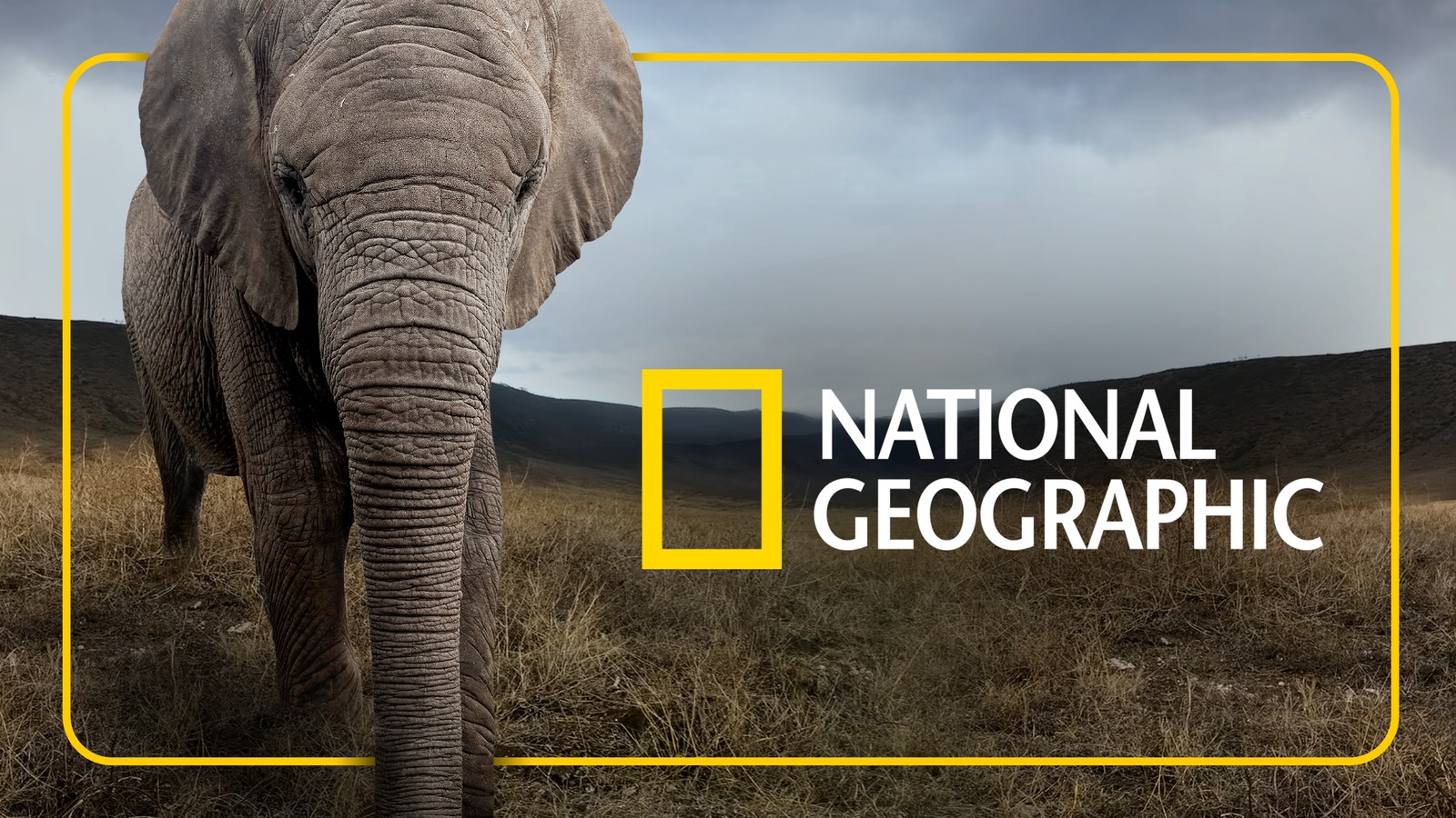 National Geographic: Beyond immersive Africa experience by ILM