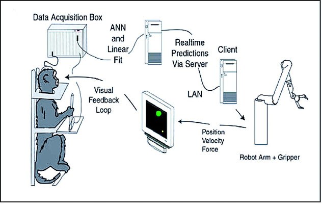 Schematic of a brain-computer interface linking cortex to computer output