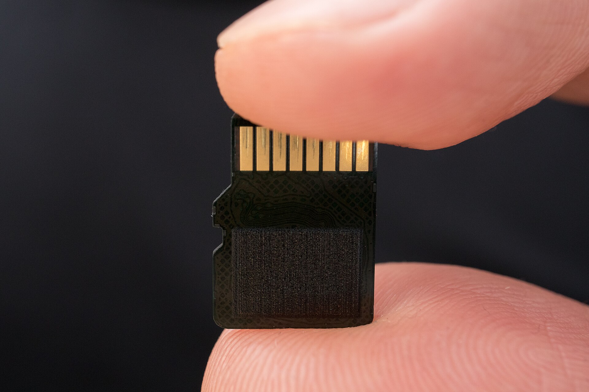 A microSD card held between two fingers showing its gold contacts